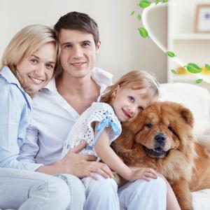 UV Lamp Technology Extends HVAC System Lifespan, Saving You Costs